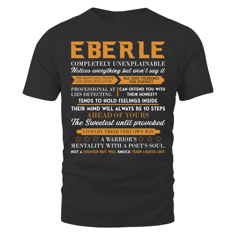  EBERLE SI5